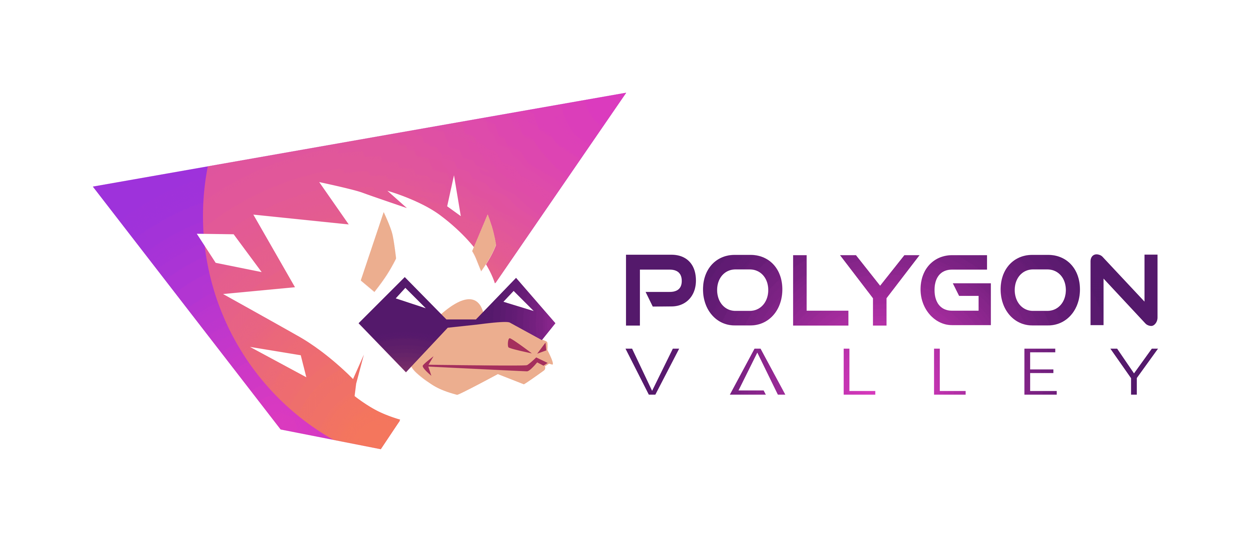 Polygon Valley